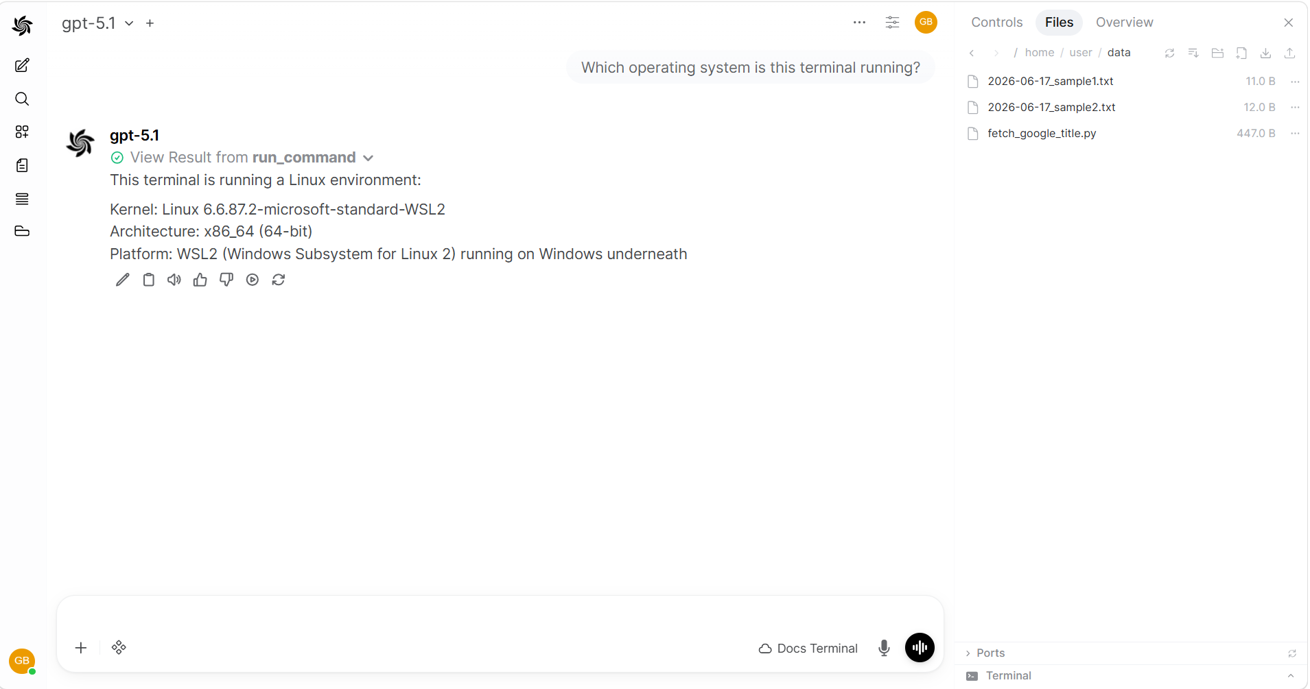 AI using run_command to check the operating system