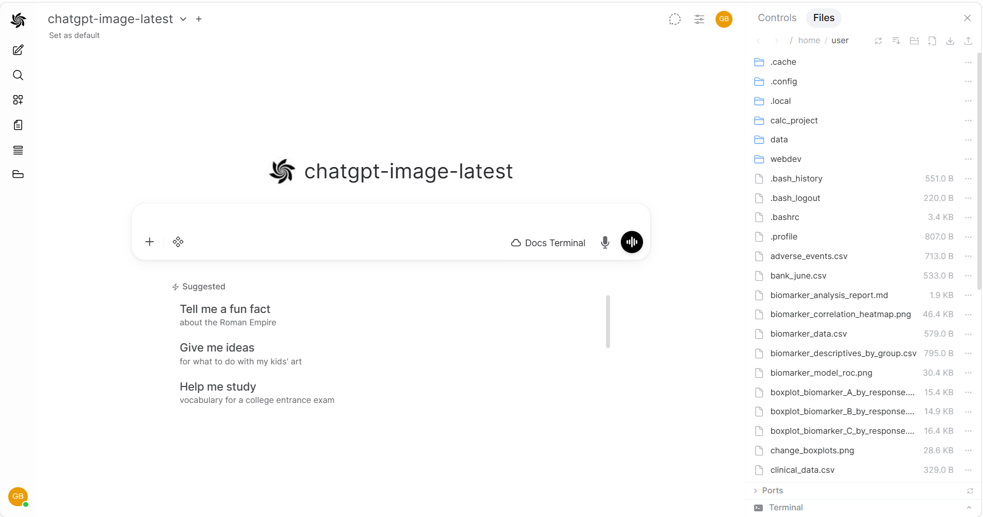 HridaAI with Hrida Terminal, file browser sidebar and chat
