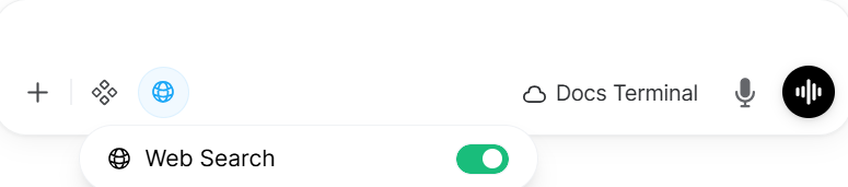 Web Search UI Toggle
